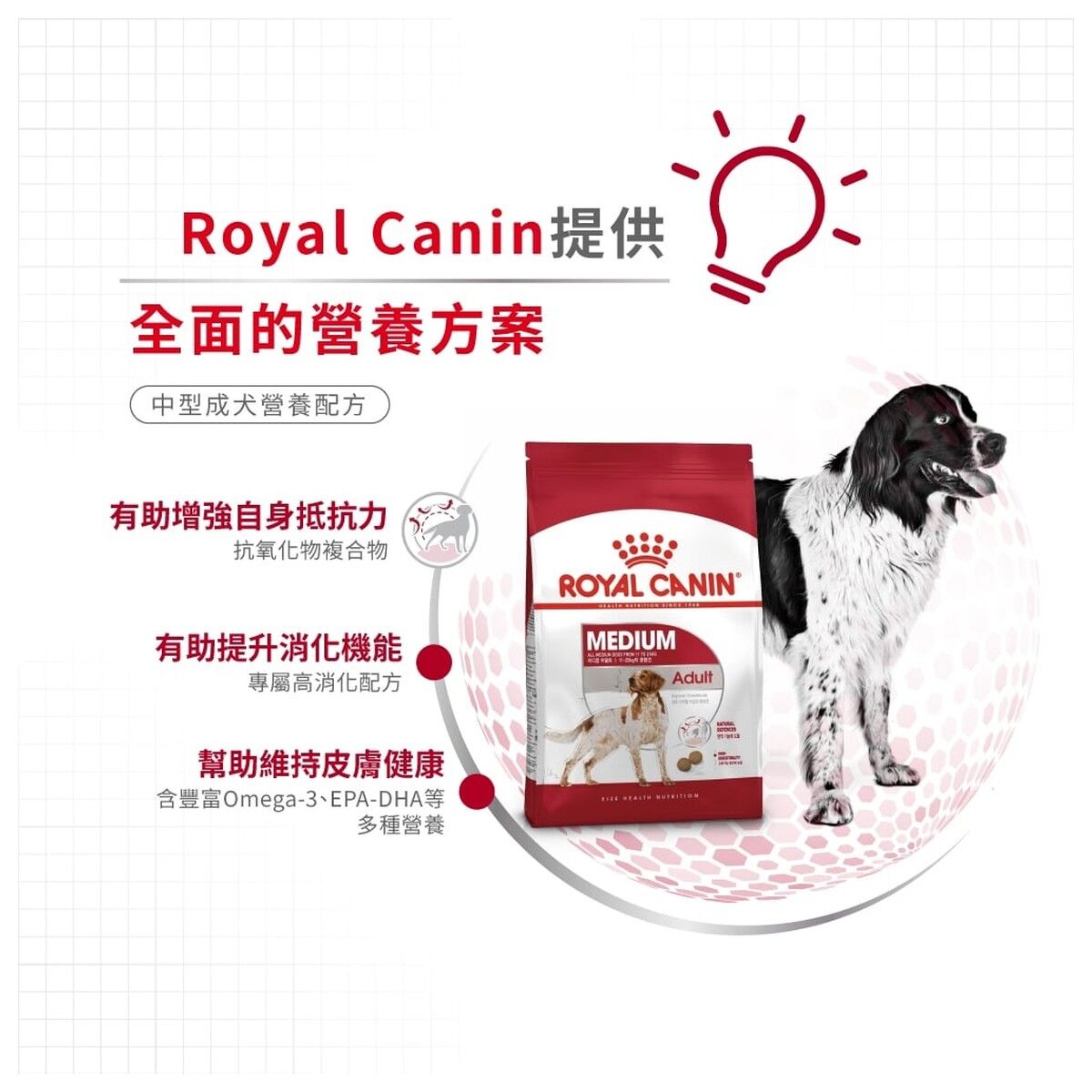 royal-canin-dog-food-medium-adult-hk-3-rc-m25-c.jpg