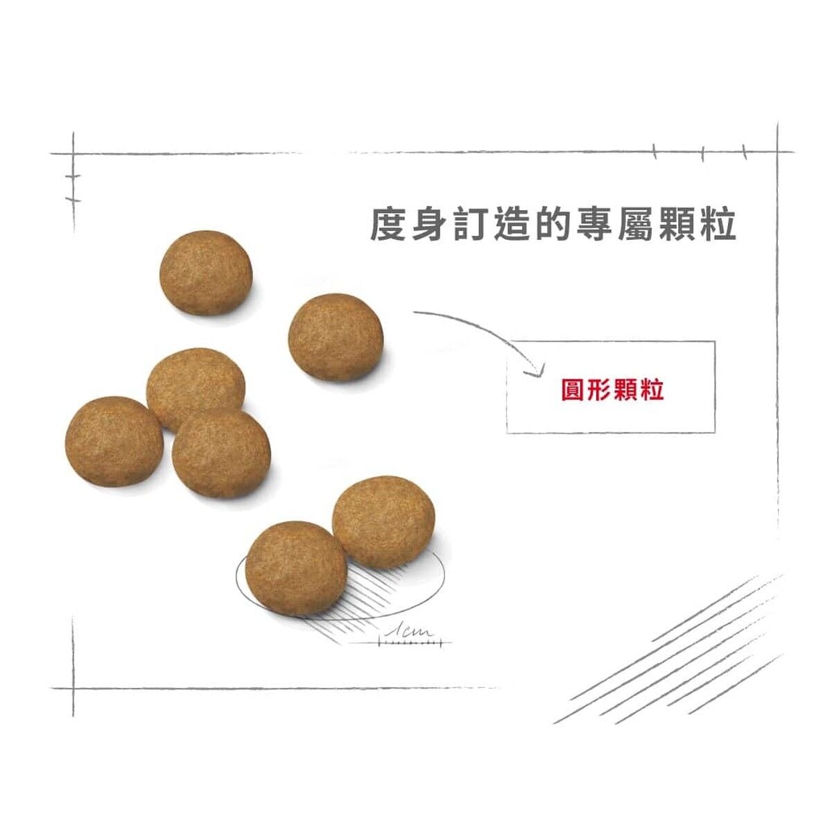 royal-canin-dog-food-medium-adult-hk-4-rc-m25-c.jpg