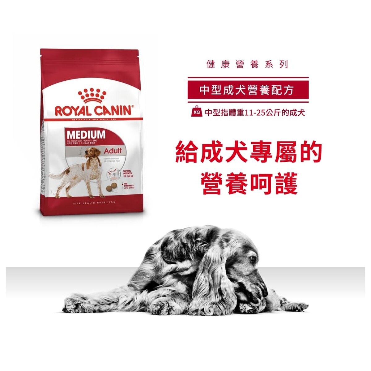 royal-canin-dog-food-medium-adult-hk-1-rc-m25-c.jpg