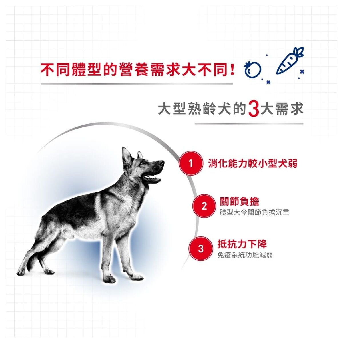 royal-canin-dog-food-maxi-adult-5-plus-15kg-hk-2-rc-sgr26-15.jpg