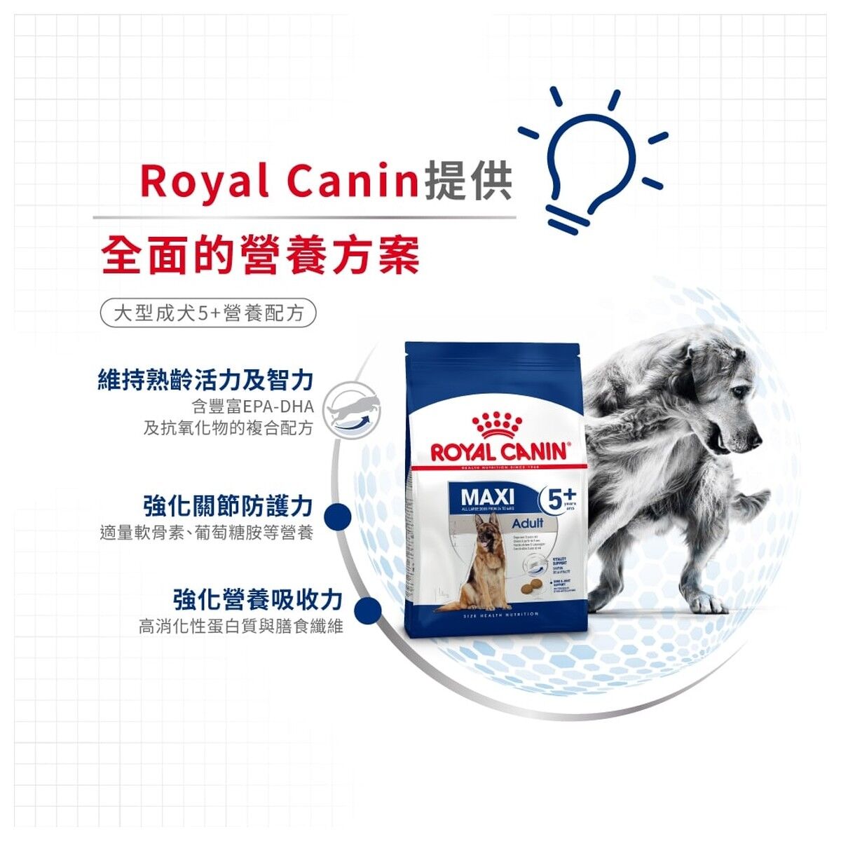 royal-canin-dog-food-maxi-adult-5-plus-15kg-hk-3-rc-sgr26-15.jpg