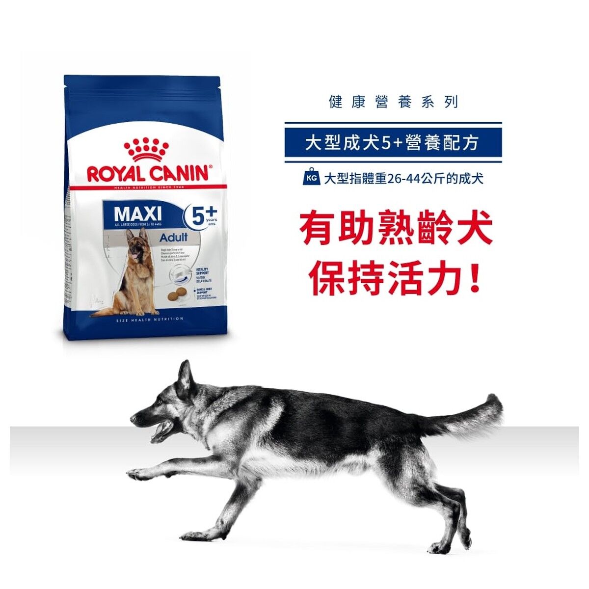 royal-canin-dog-food-maxi-adult-5-plus-15kg-hk-card-rc-sgr26-15.jpg
