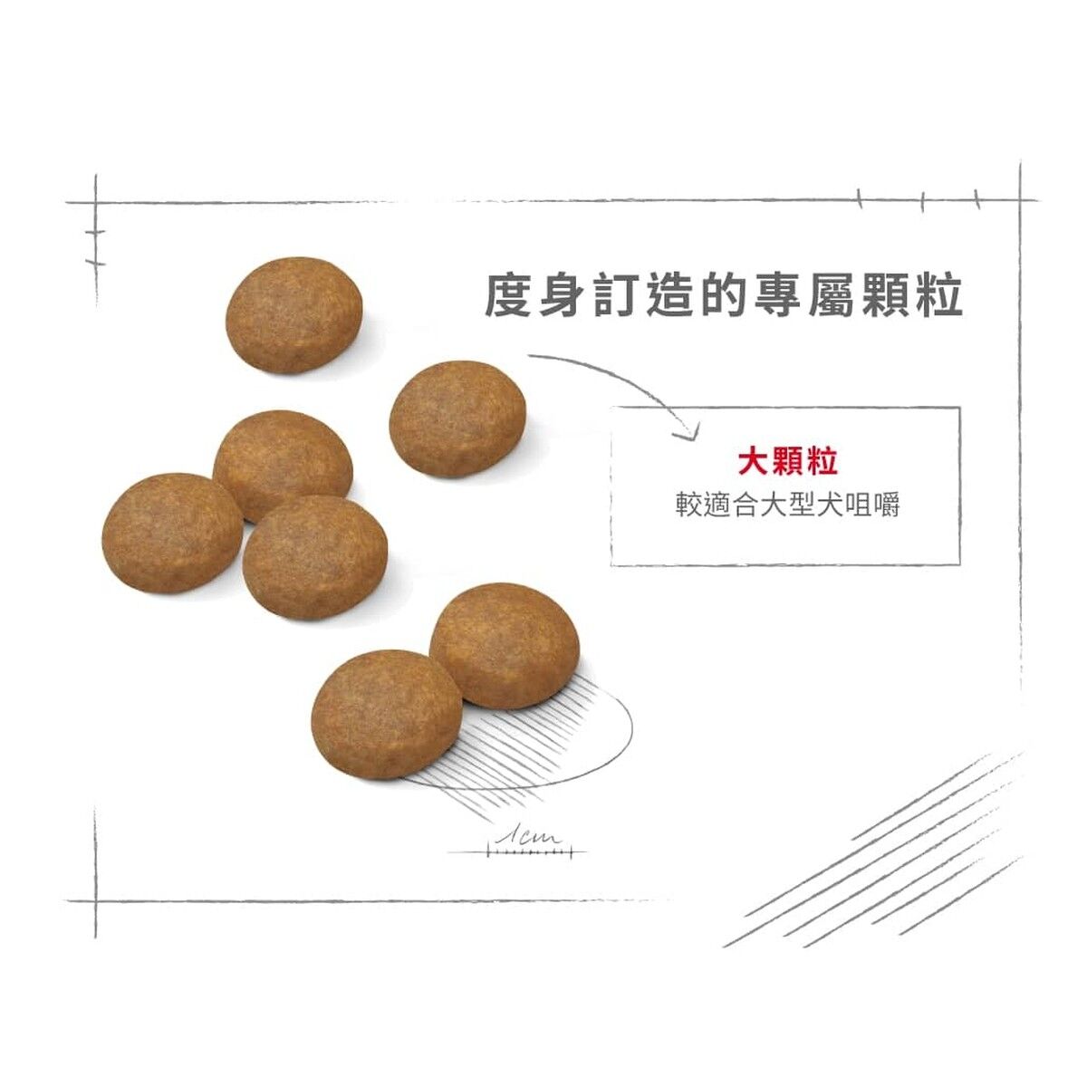 royal-canin-dog-food-maxi-adult-5-plus-15kg-hk-4-rc-sgr26-15.jpg