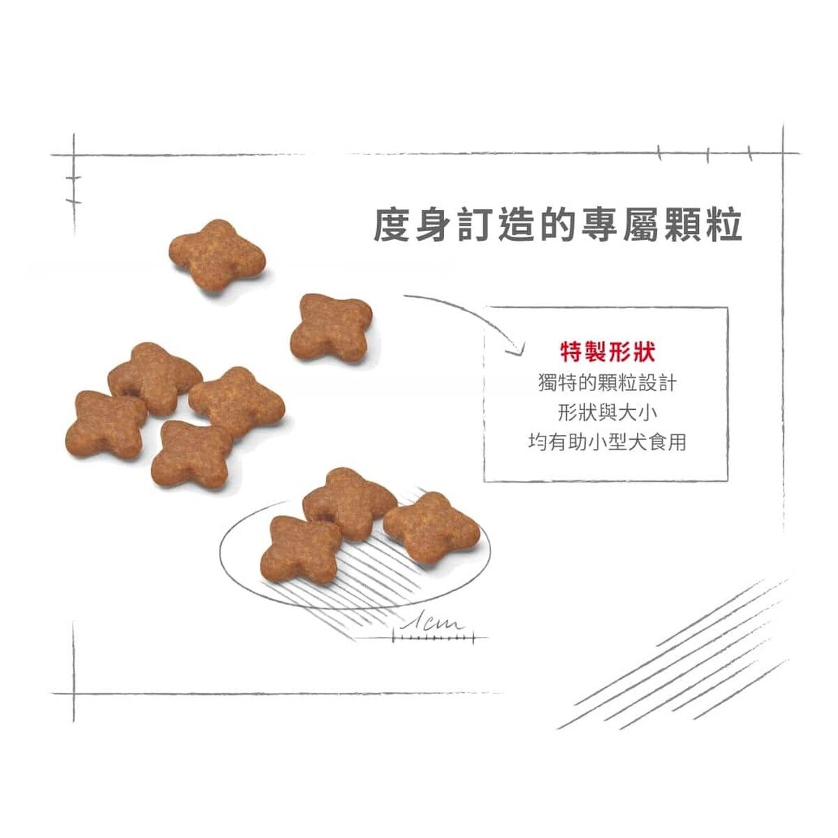 royal-canin-senior-dog-food-mini-adult-8-plus-hk-4-rc-spr27-c.jpg