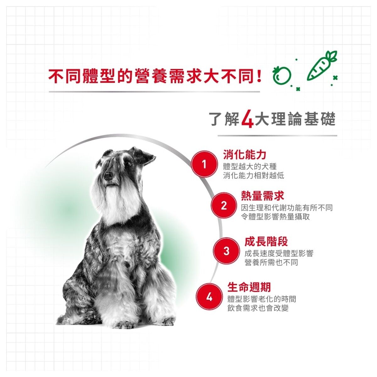 royal-canin-senior-dog-food-mini-adult-8-plus-hk-2-rc-spr27-c.jpg