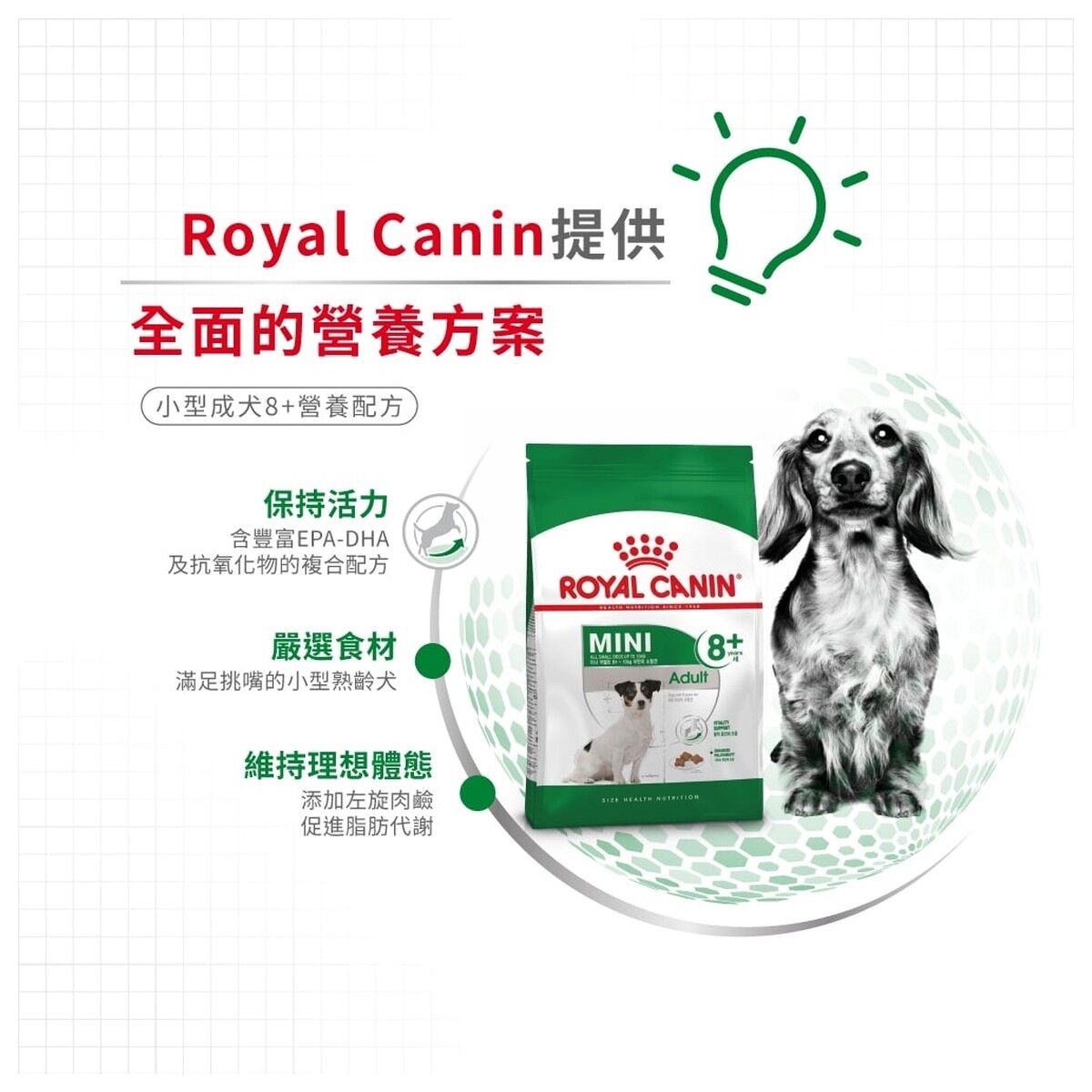royal-canin-senior-dog-food-mini-adult-8-plus-hk-3-rc-spr27-c.jpg