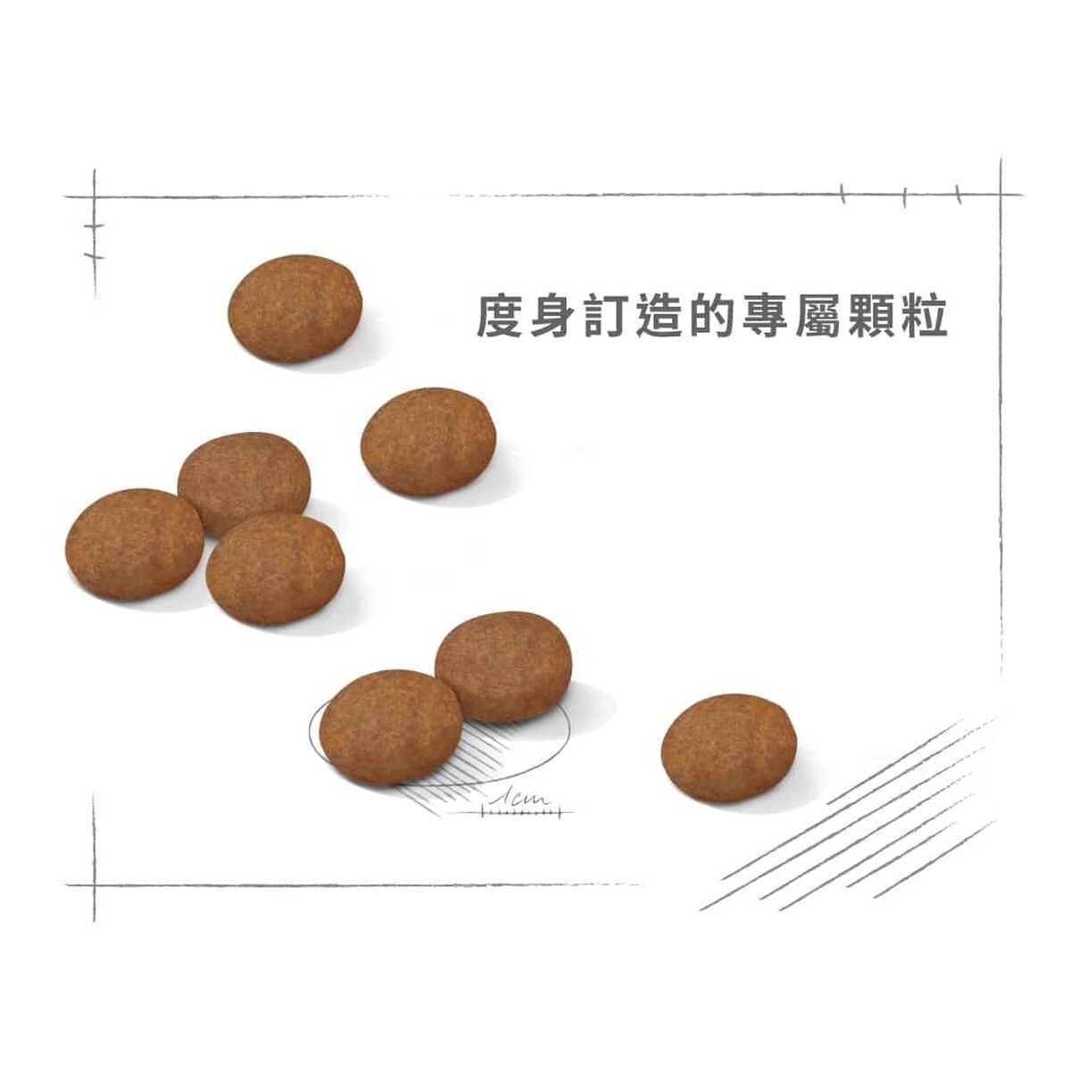 royal-canin-dog-food-medium-adult-7-plus-hk-4-rc-sm25-c.jpg