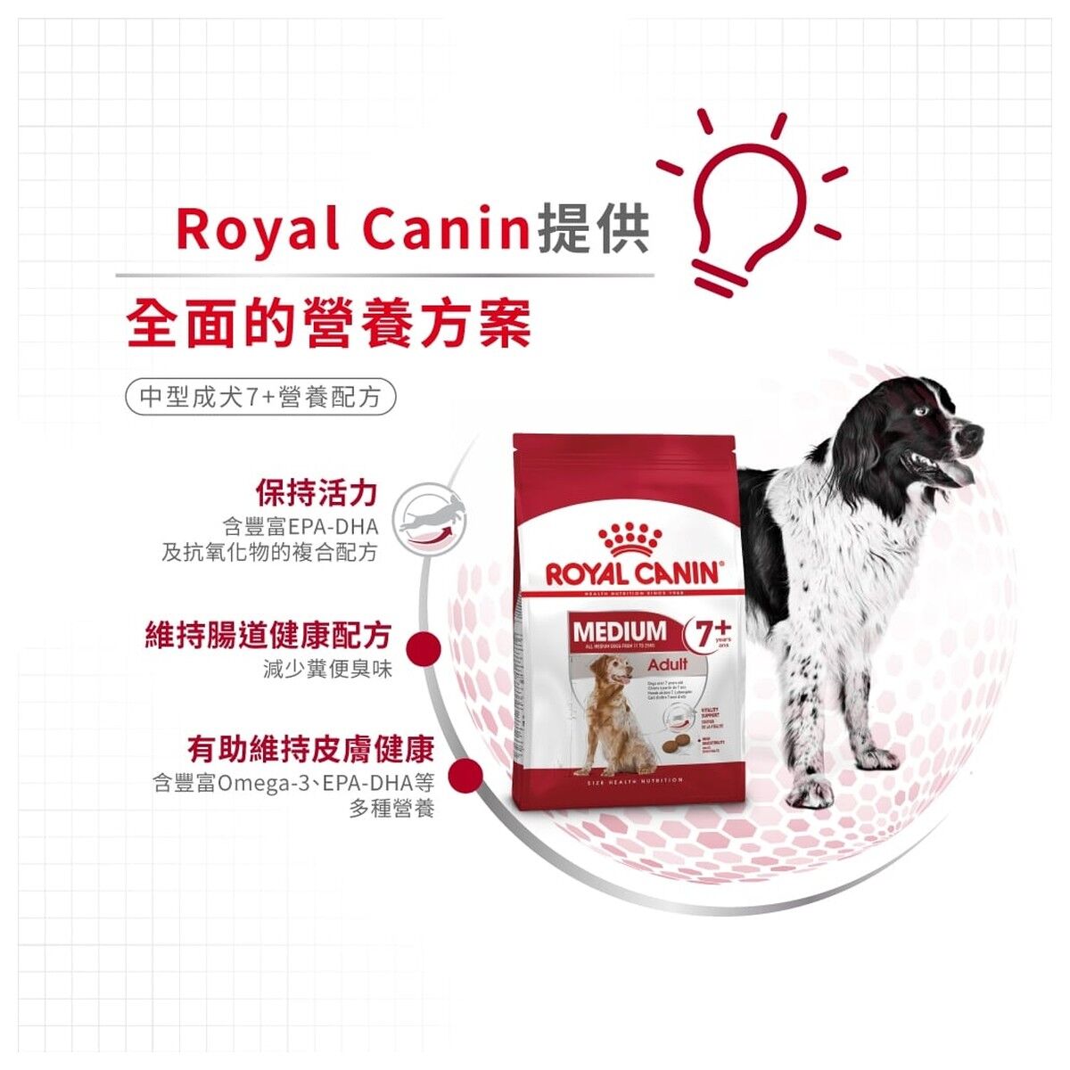 royal-canin-dog-food-medium-adult-7-plus-hk-3-rc-sm25-c.jpg