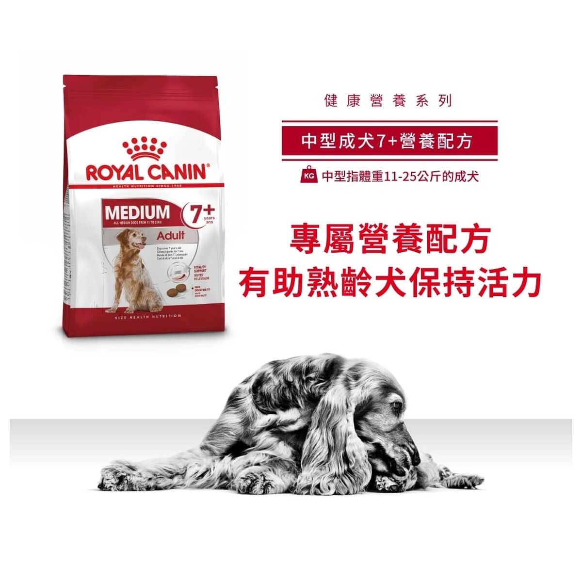 royal-canin-dog-food-medium-adult-7-plus-hk-1-rc-sm25-c.jpg