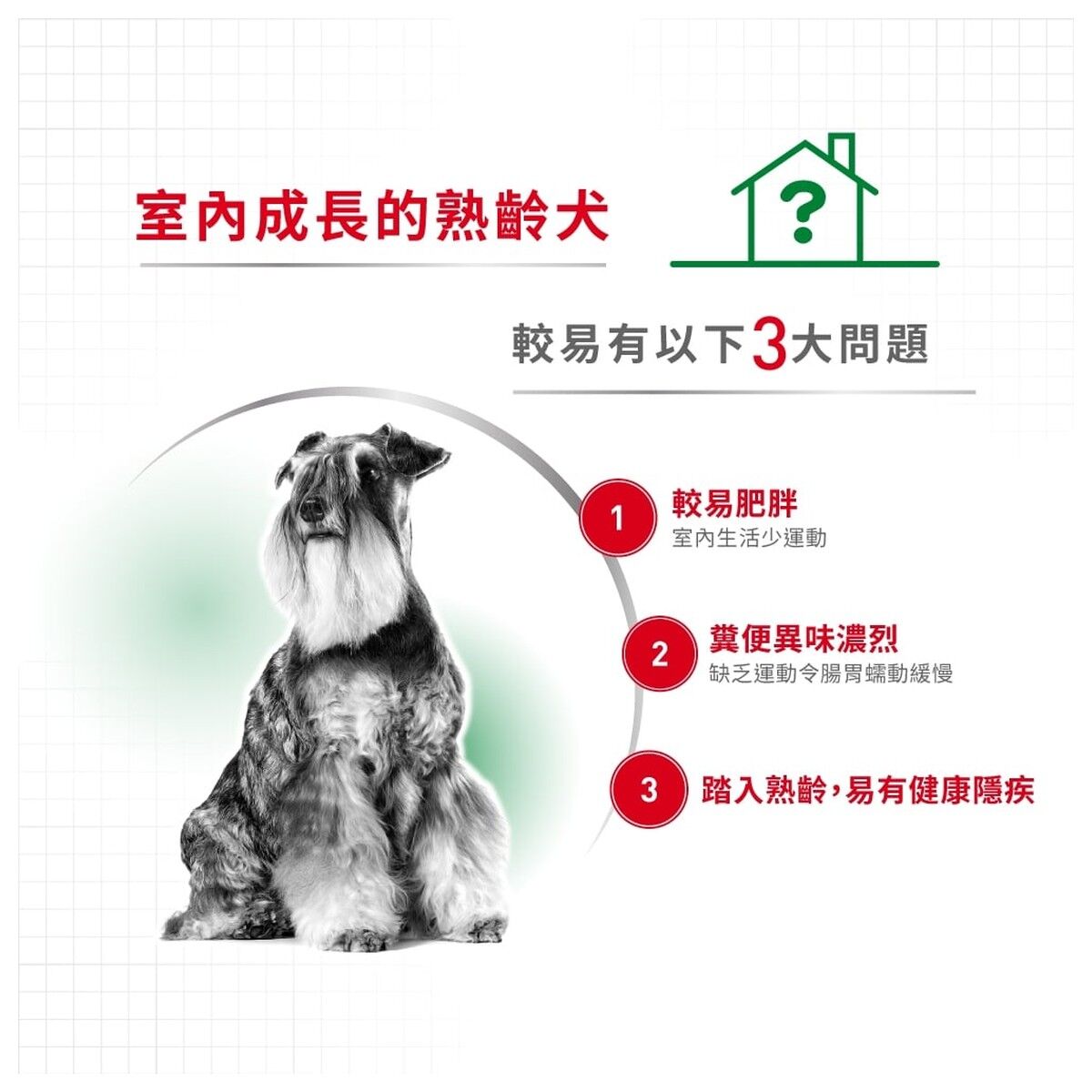 royal-canin-senior-dog-food-mini-indoor-senior-hk-2-rc-ils-c.jpg