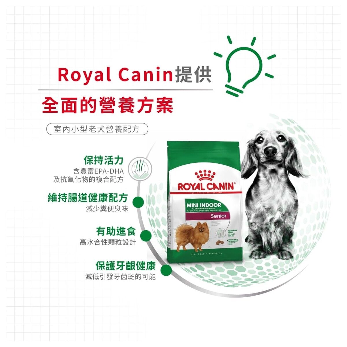 royal-canin-senior-dog-food-mini-indoor-senior-hk-3-rc-ils-c.jpg