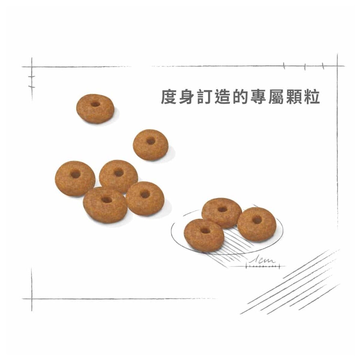 royal-canin-senior-dog-food-mini-indoor-senior-hk-4-rc-ils-c.jpg