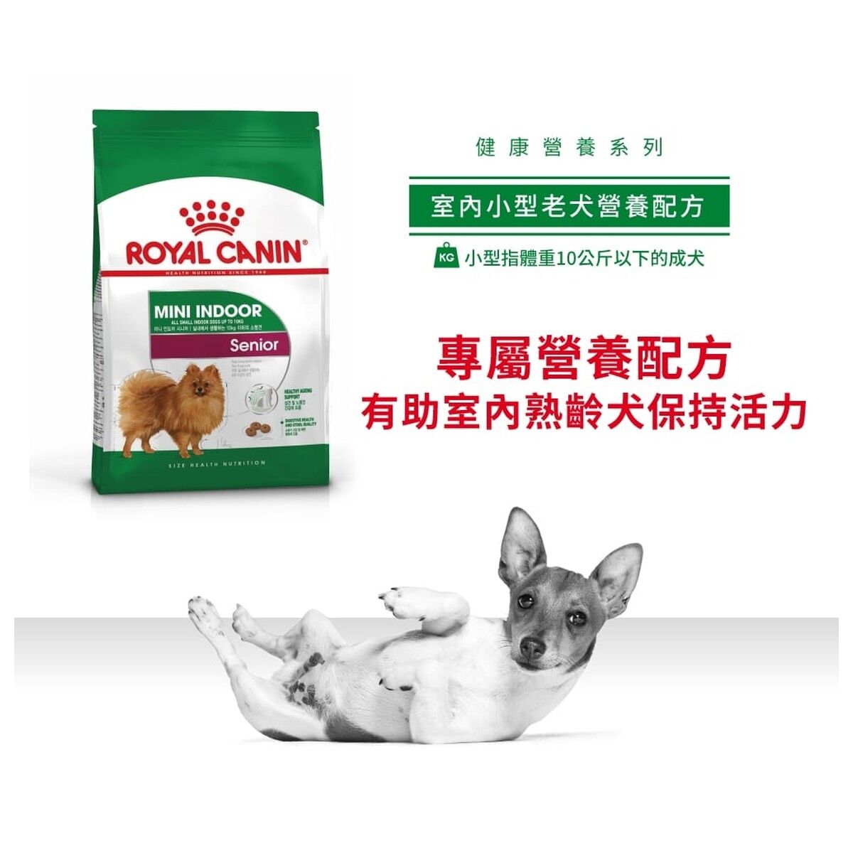 royal-canin-senior-dog-food-mini-indoor-senior-hk-1-rc-ils-c.jpg