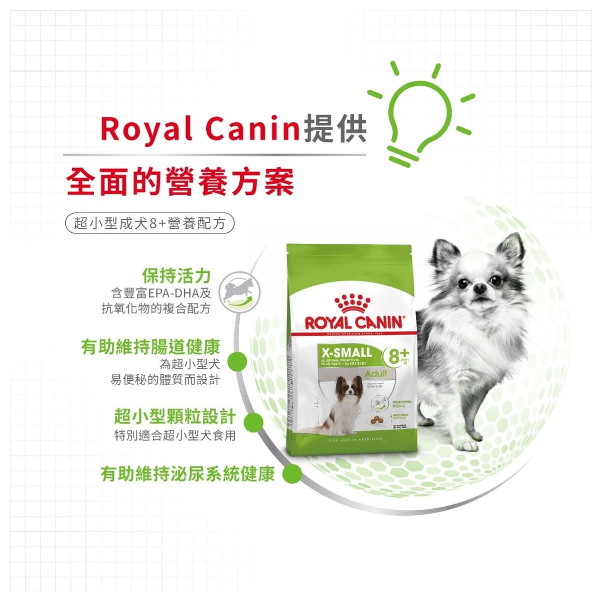 royal-canin-senior-dog-food-x-small-adult-8-plus-hk-3-rc-xss-c.jpg