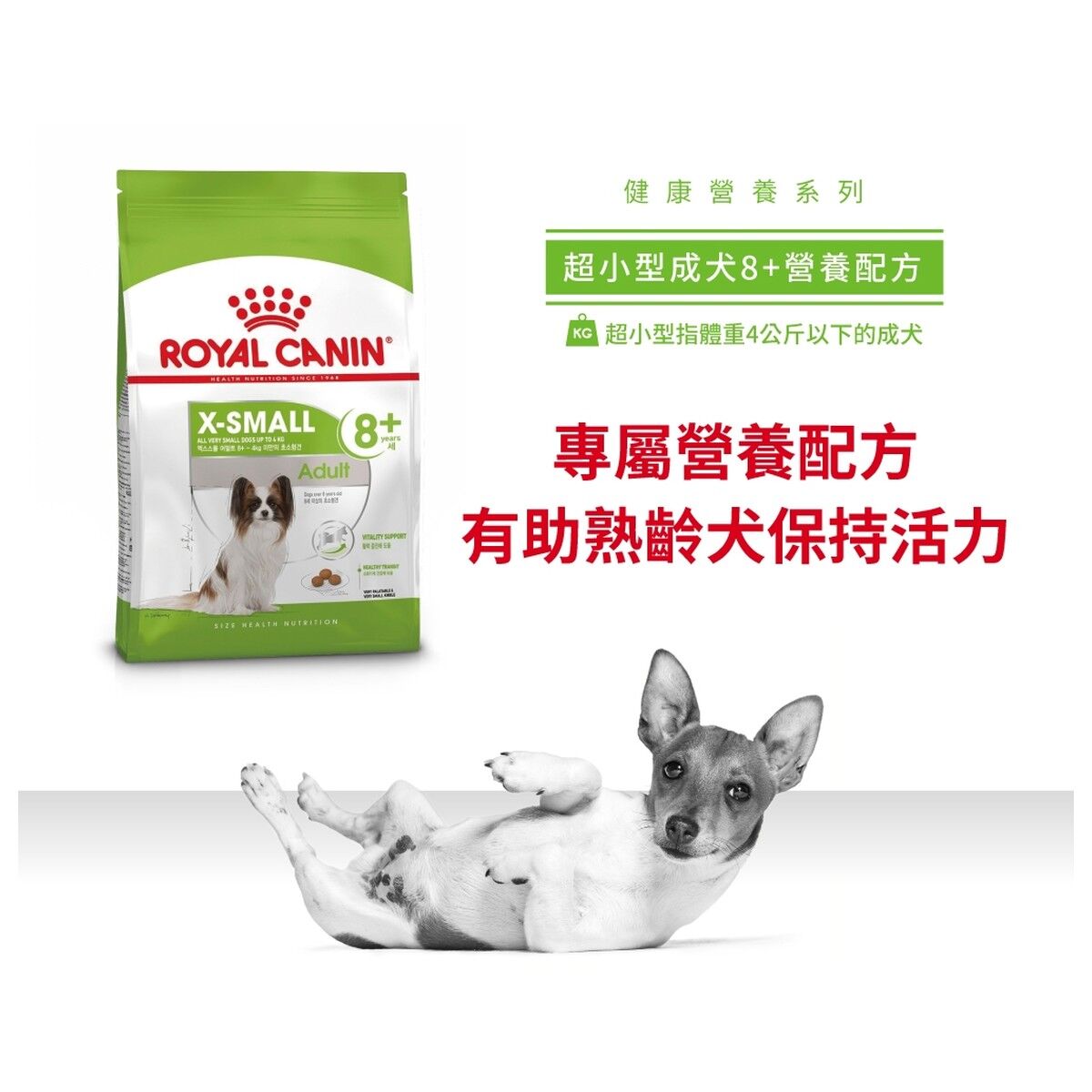 royal-canin-senior-dog-food-x-small-adult-8-plus-hk-1-rc-xss-c.jpg