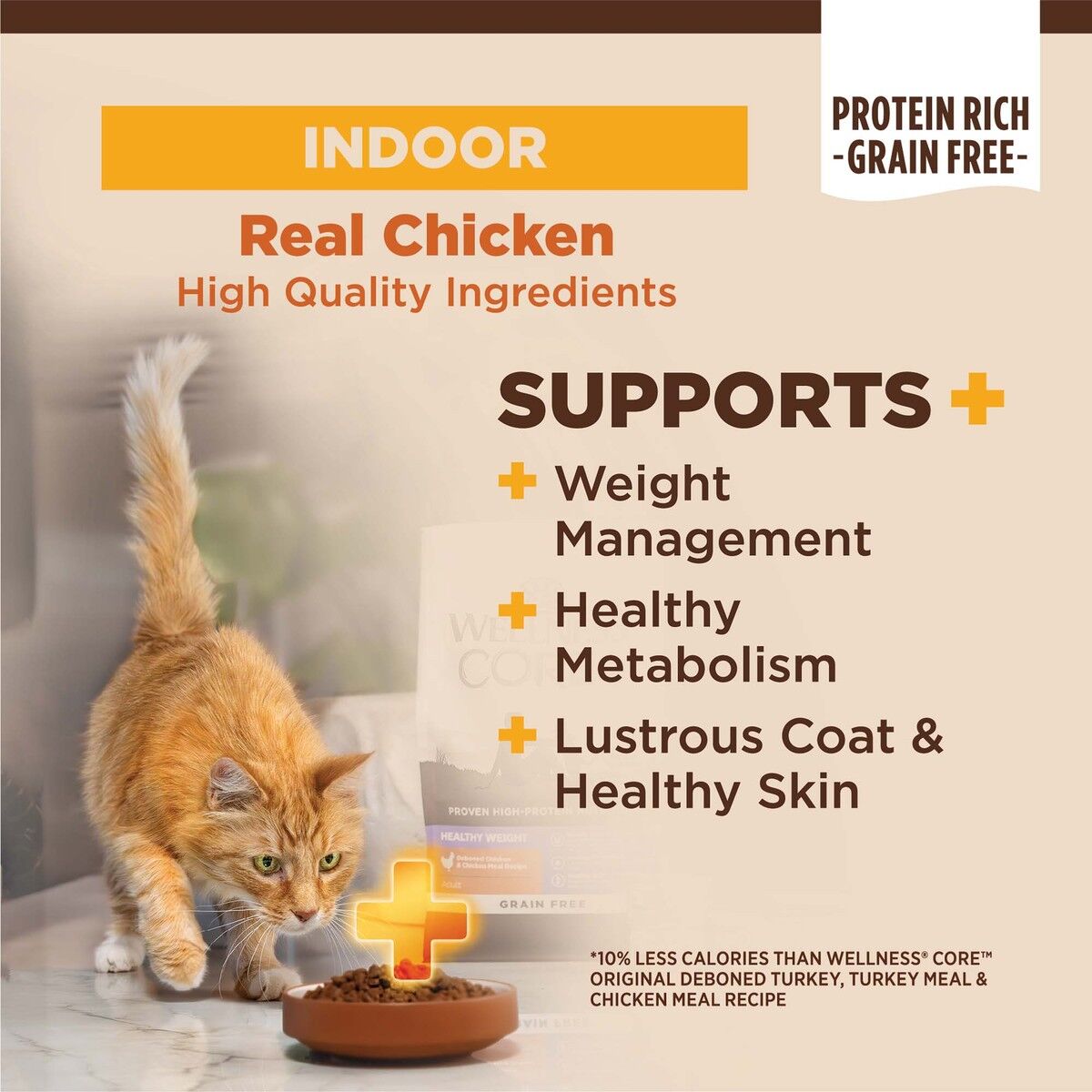 wellness-core-plus-indoor-chicken-turkey-lifestyle-bowl_1.jpg