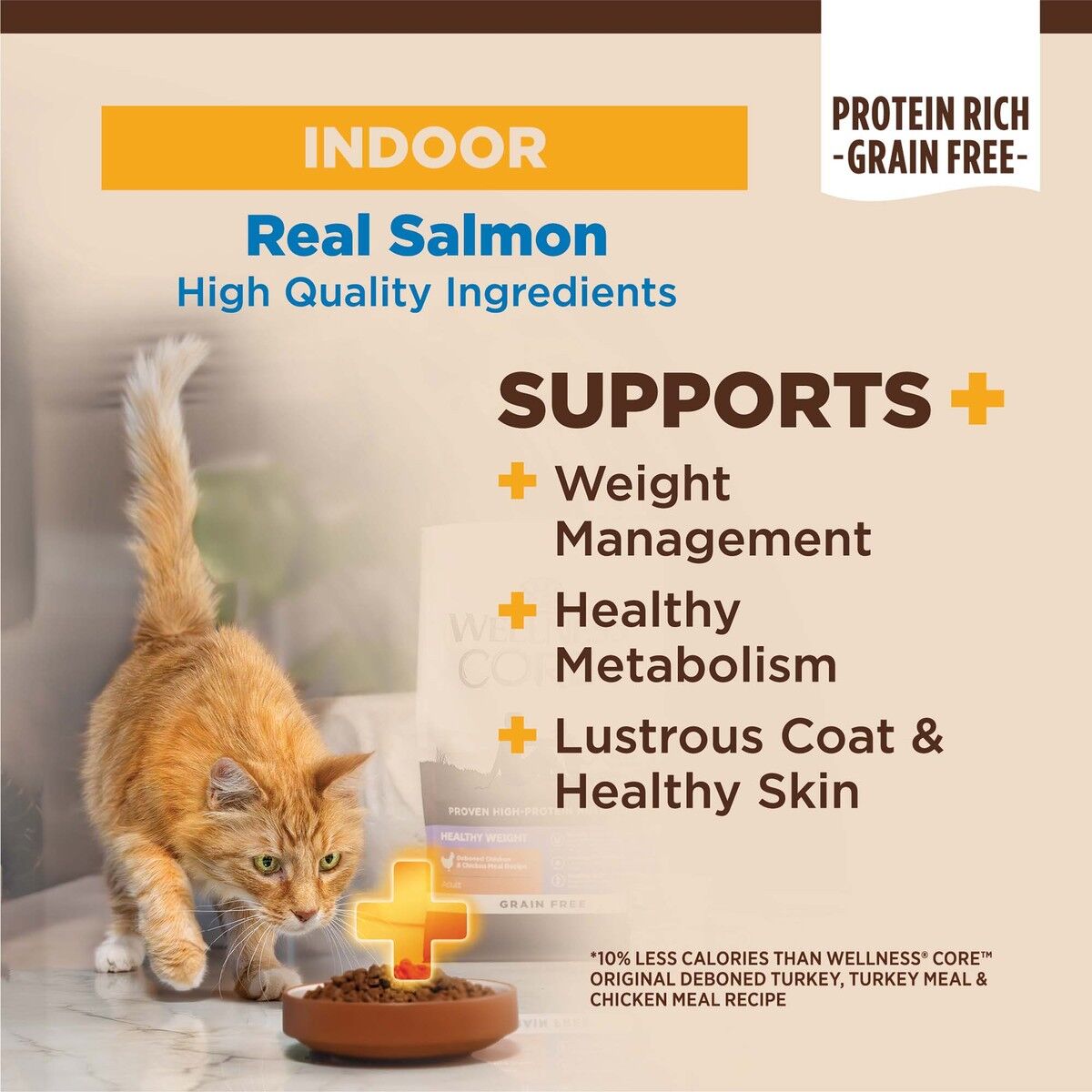 wellness-core-plus-indoor-salmon-herring-lifestyle-bowl_1.jpg