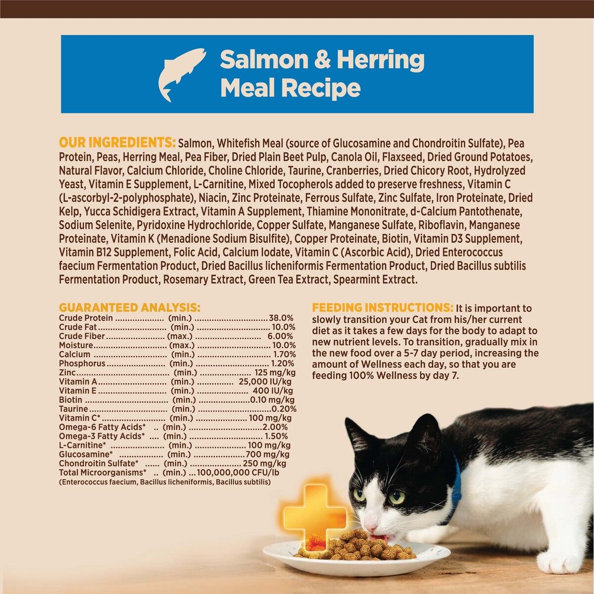 wellness-core-plus-indoor-salmon-herring-benefits_1.jpg