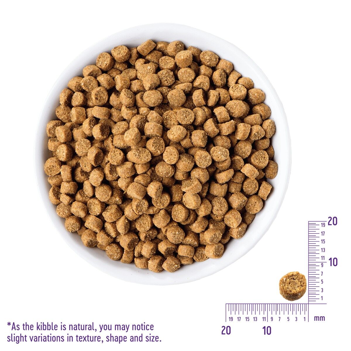 wellness-core-plus-indoor-salmon-herring-kibble_1.jpg