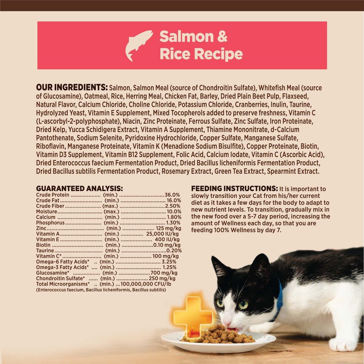 wellness-core-plus-digestive-health-salmon-rice-benefits.jpg