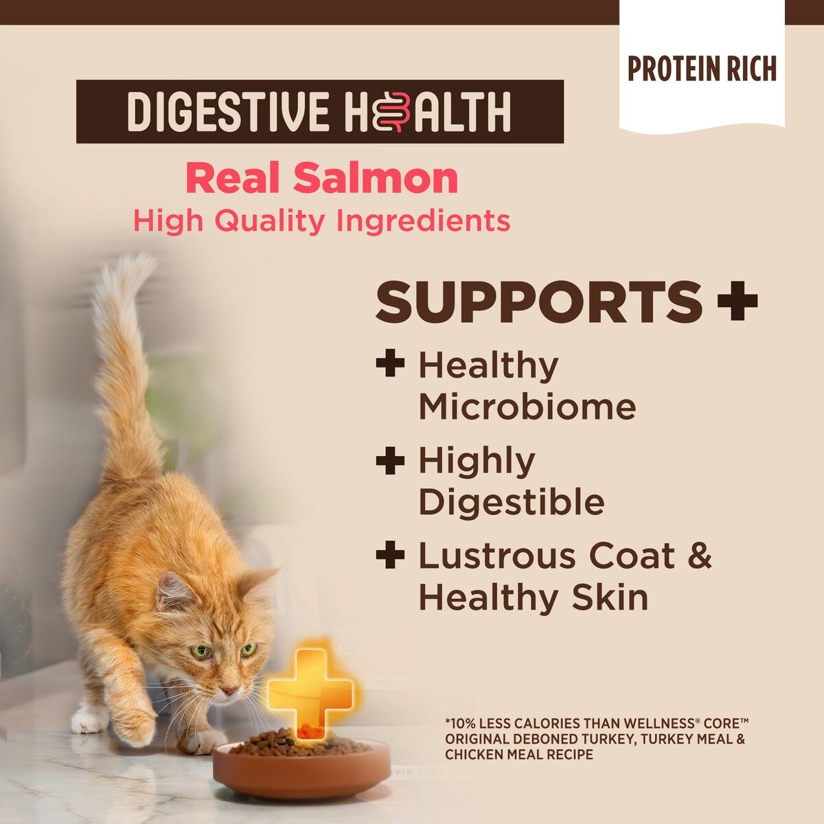 wellness-core-plus-digestive-health-salmon-rice-lifestyle-bowl.jpg
