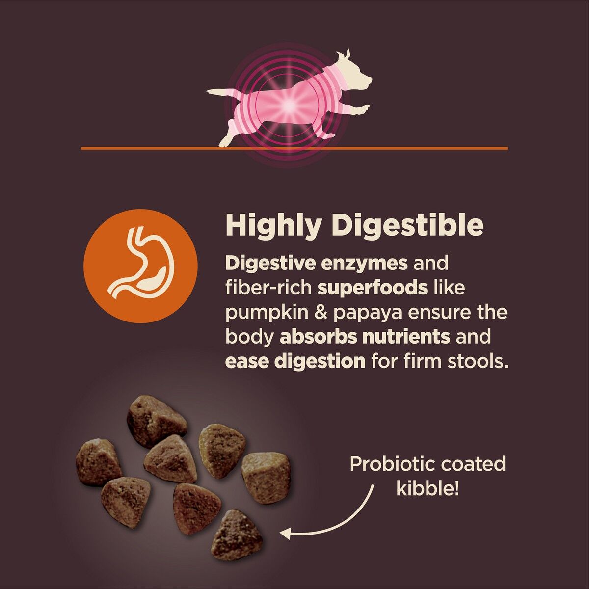 wellness-core-digestive-health-small-breed-protein_1.jpg