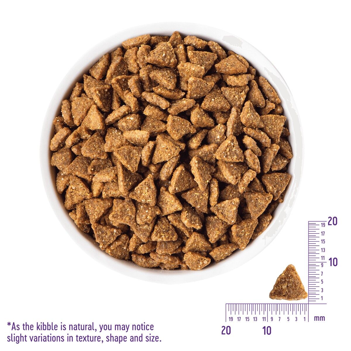 wellness-core-digestive-health-small-breed-kibble_1.jpg