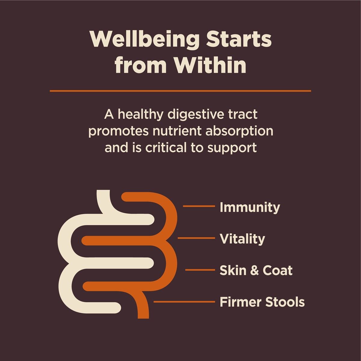 wellness-core-digestive-health-small-breed-benefits_1.jpg