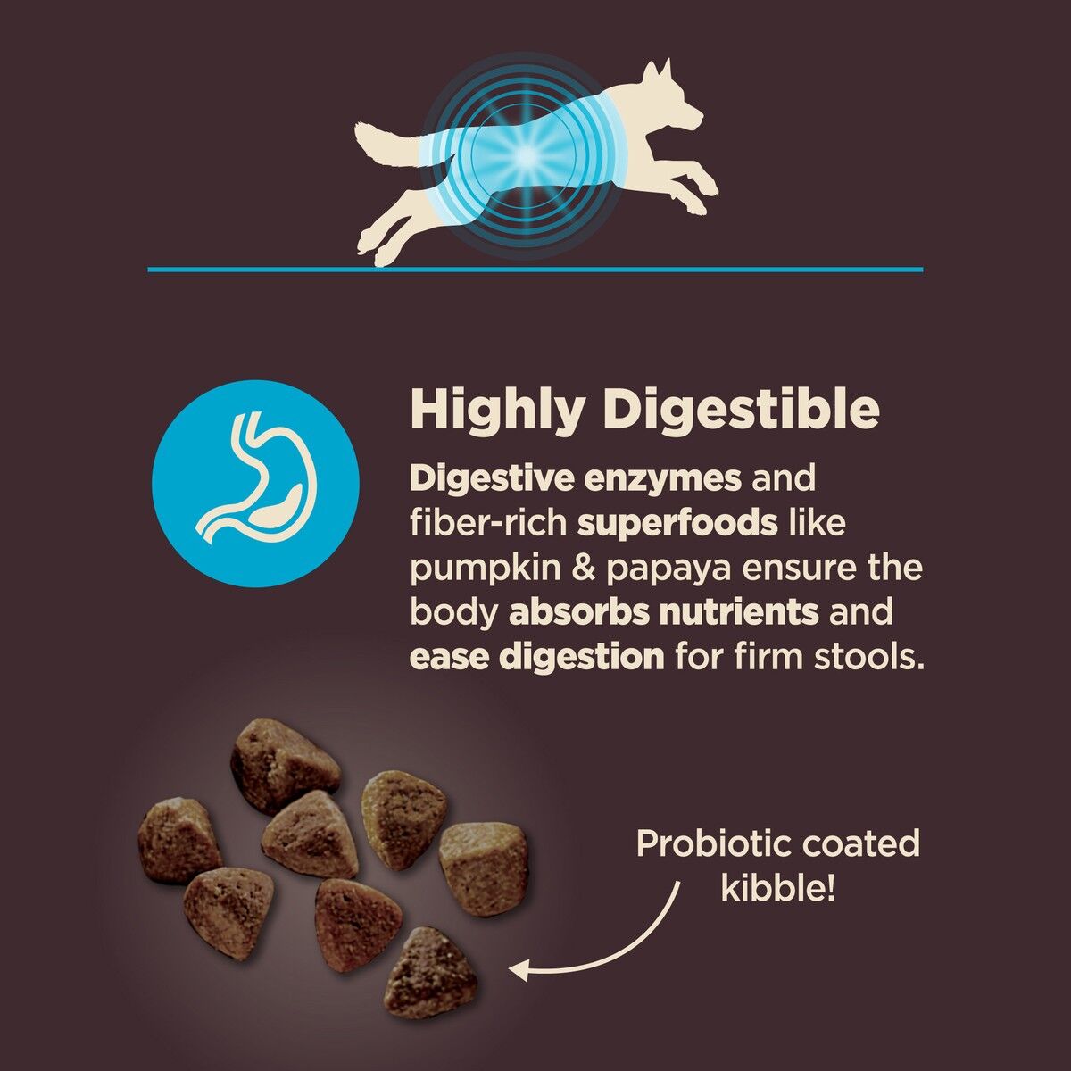 wellness-core-digestive-health-whitefish-brown-rice-protein_1.jpg