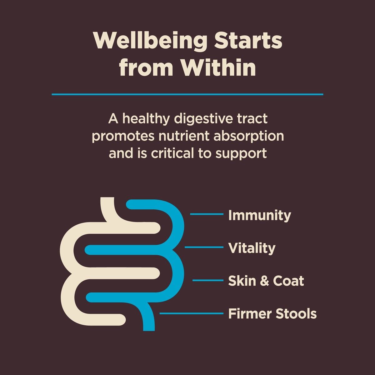wellness-core-digestive-health-whitefish-brown-rice-benefits_1.jpg