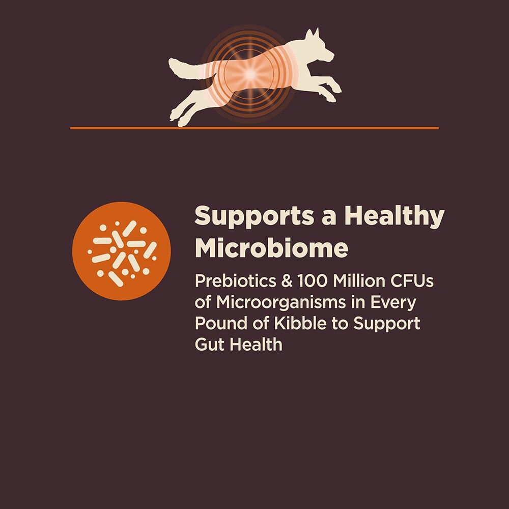 wellness-core-digestive-health-chicken-brown-rice-benefit-card_1.jpg