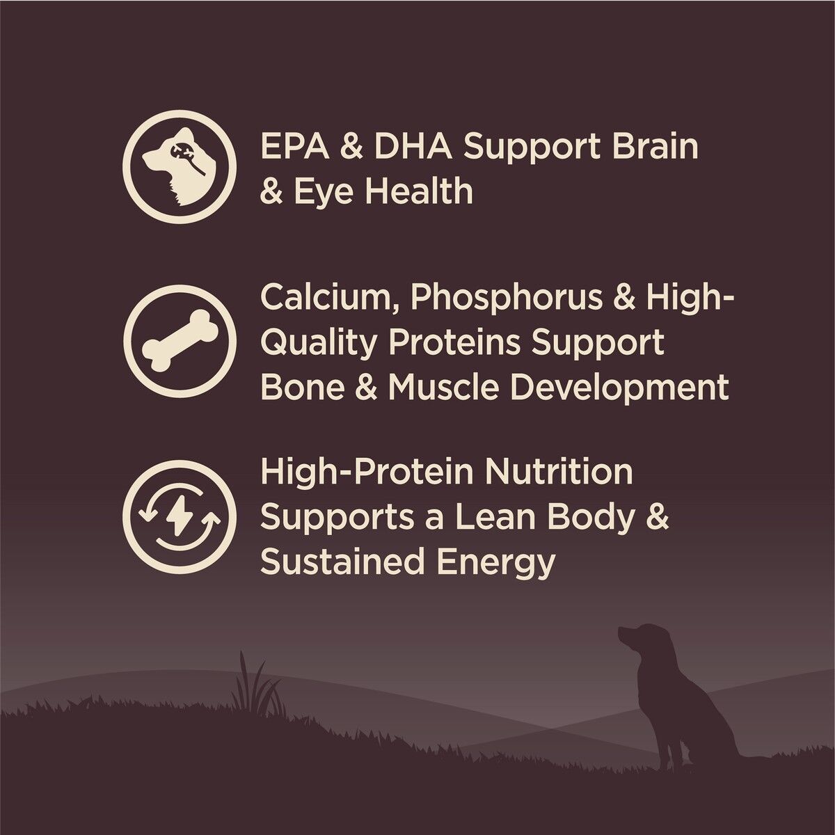 wellness-core-grain-free-puppy-benefits_1.jpg