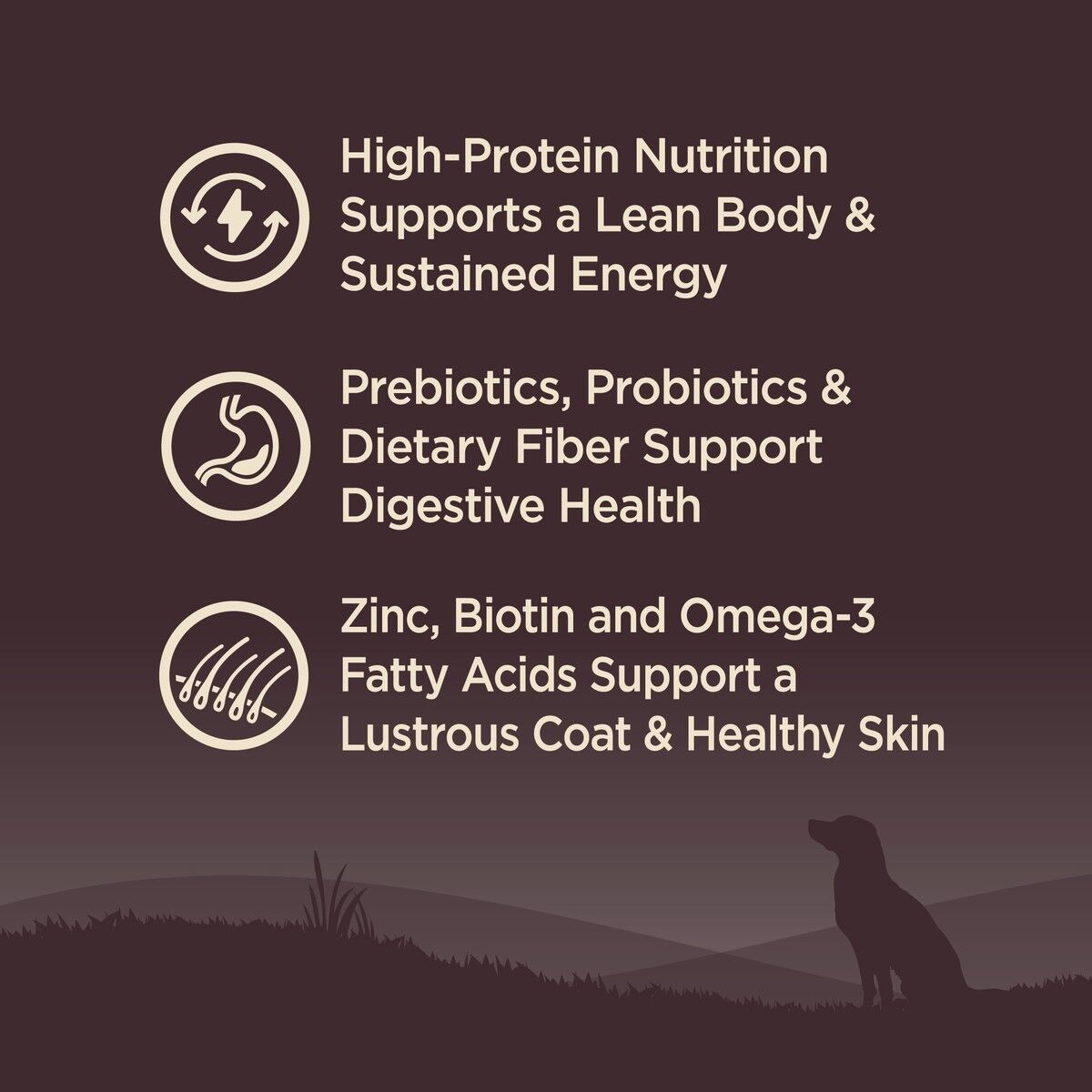wellness-core-grain-free-lamb-benefits_1.jpg