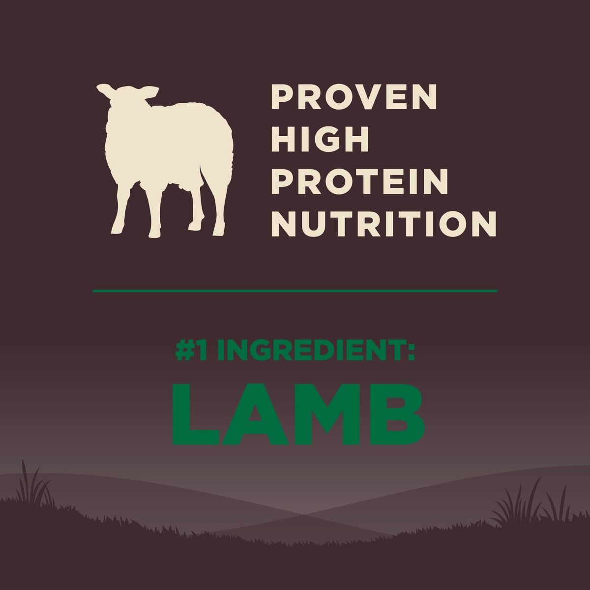 wellness-core-grain-free-lamb-protein_1.jpg