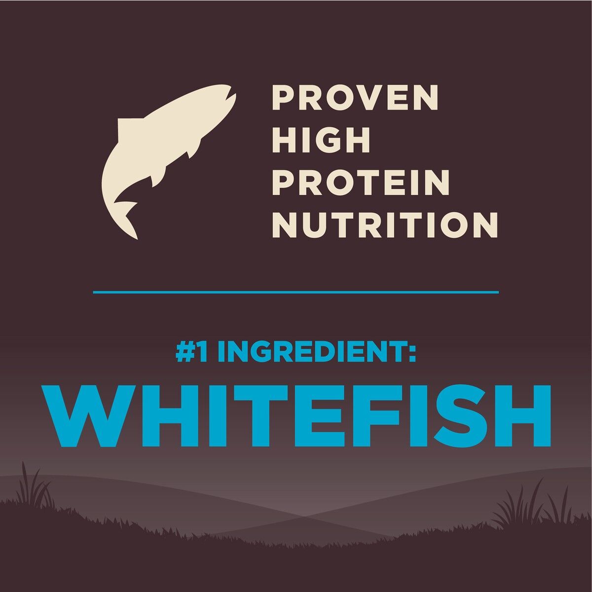 wellness-core-grain-free-ocean-protein_2.jpg