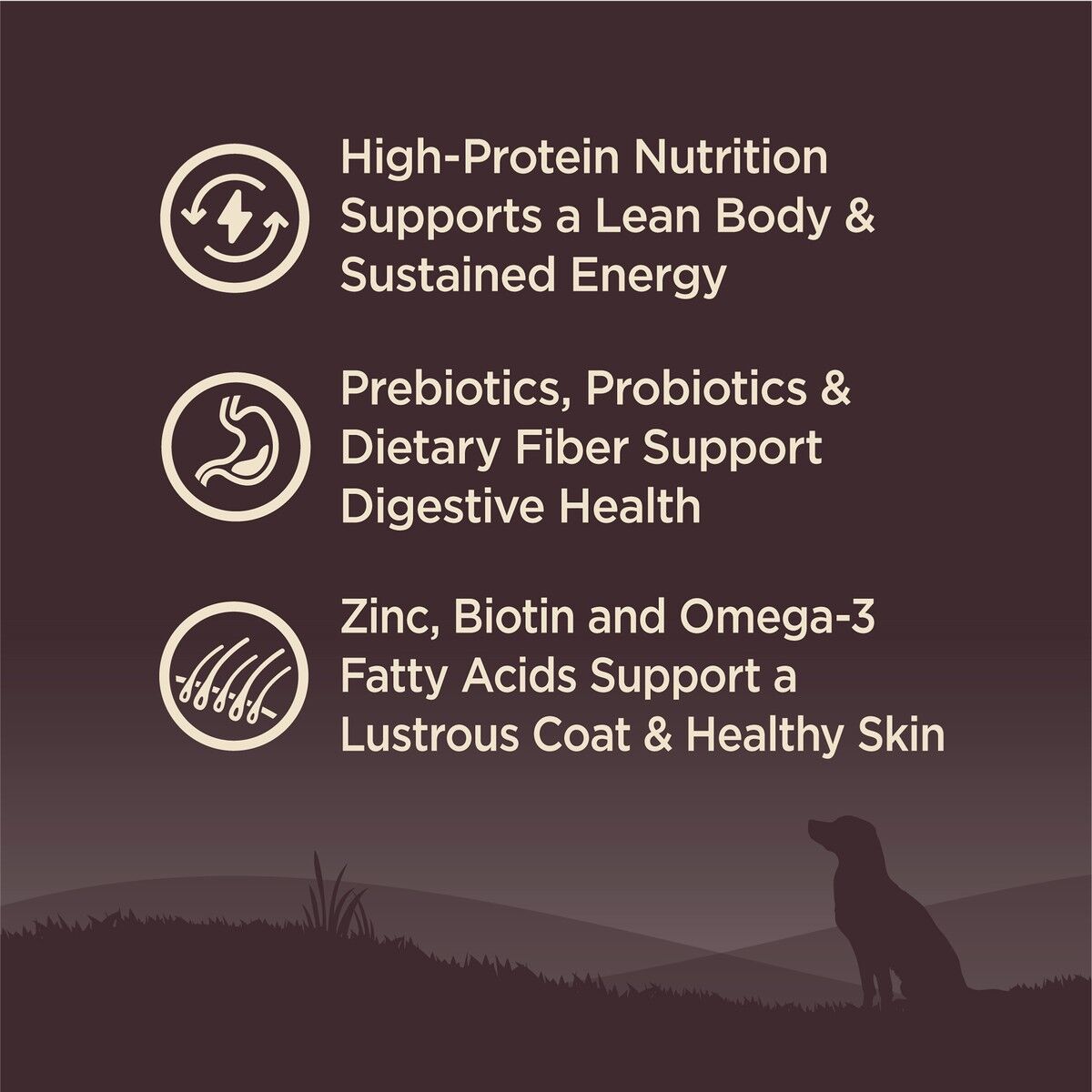 wellness-core-grain-free-ocean-benefits_2.jpg