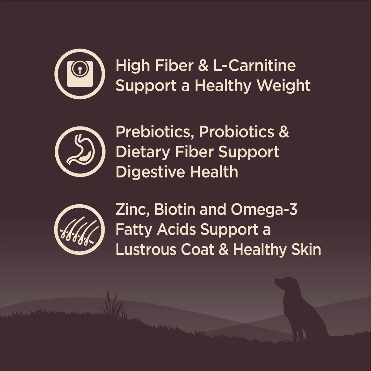 wellness-core-grain-free-reduced-fat-benefits_1.jpg
