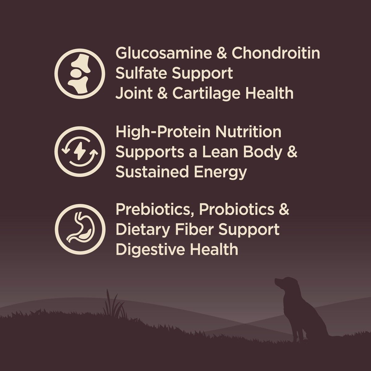 wellness-core-grain-free-age-advantage-senior-benefits_1.jpg