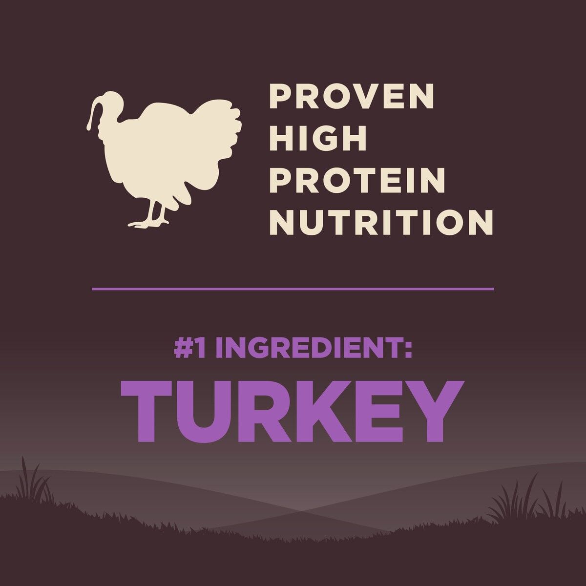 wellness-core-grain-free-age-advantage-senior-protein_1.jpg