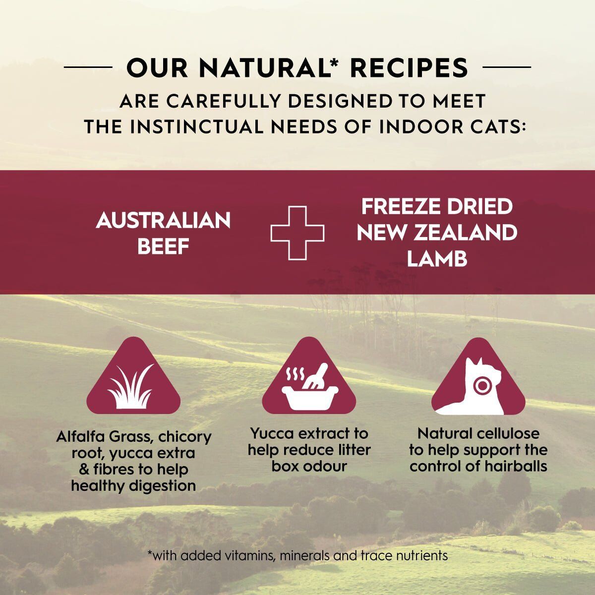 trilogy-australian-beef-freeze-dried-new-zealand-lamb-parent-indoor-benefits.jpg