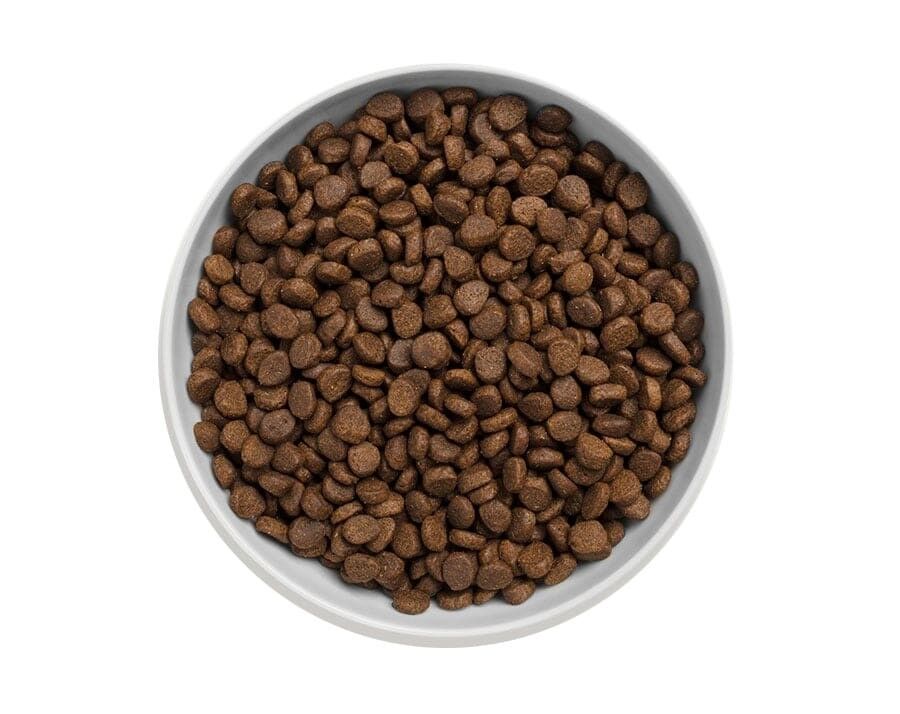 canagan-cat-free-run-chicken-kibble.jpg