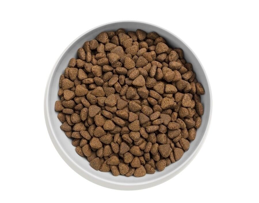 canagan-cat-country-game-kibble.jpg