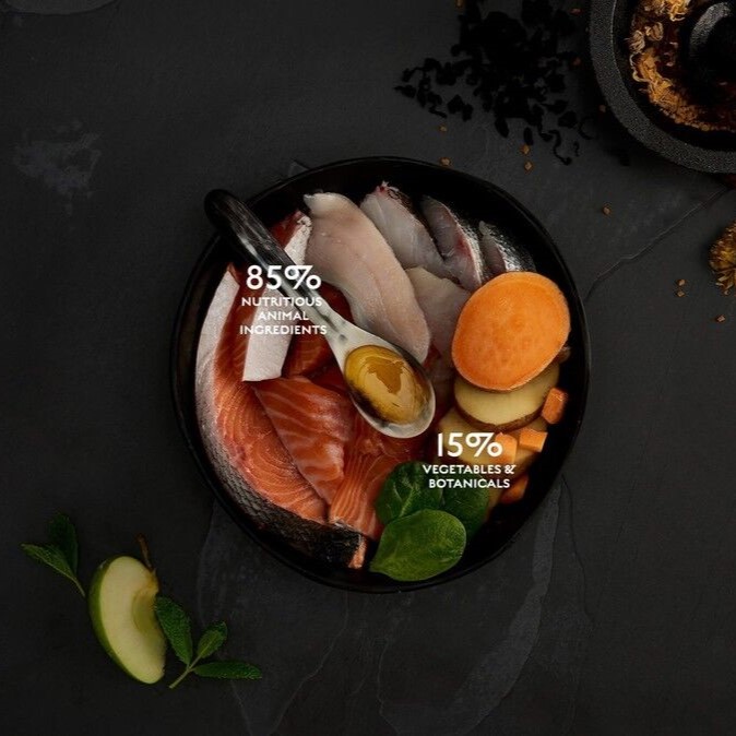 canagan-cat-scottish-salmon-ancestral-ratio.jpg