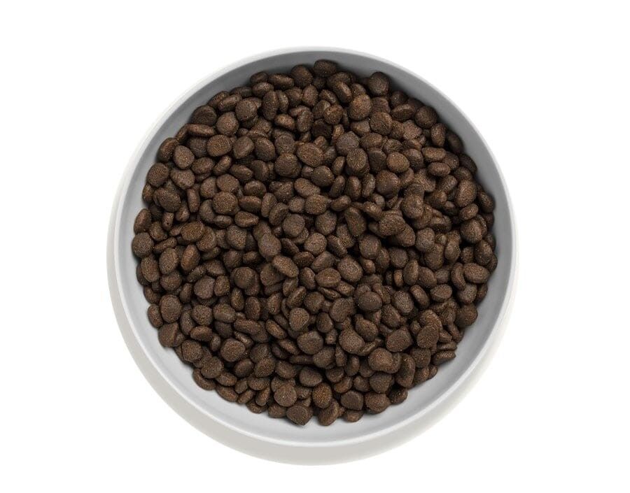 canagan-cat-scottish-salmon-kibble.jpg